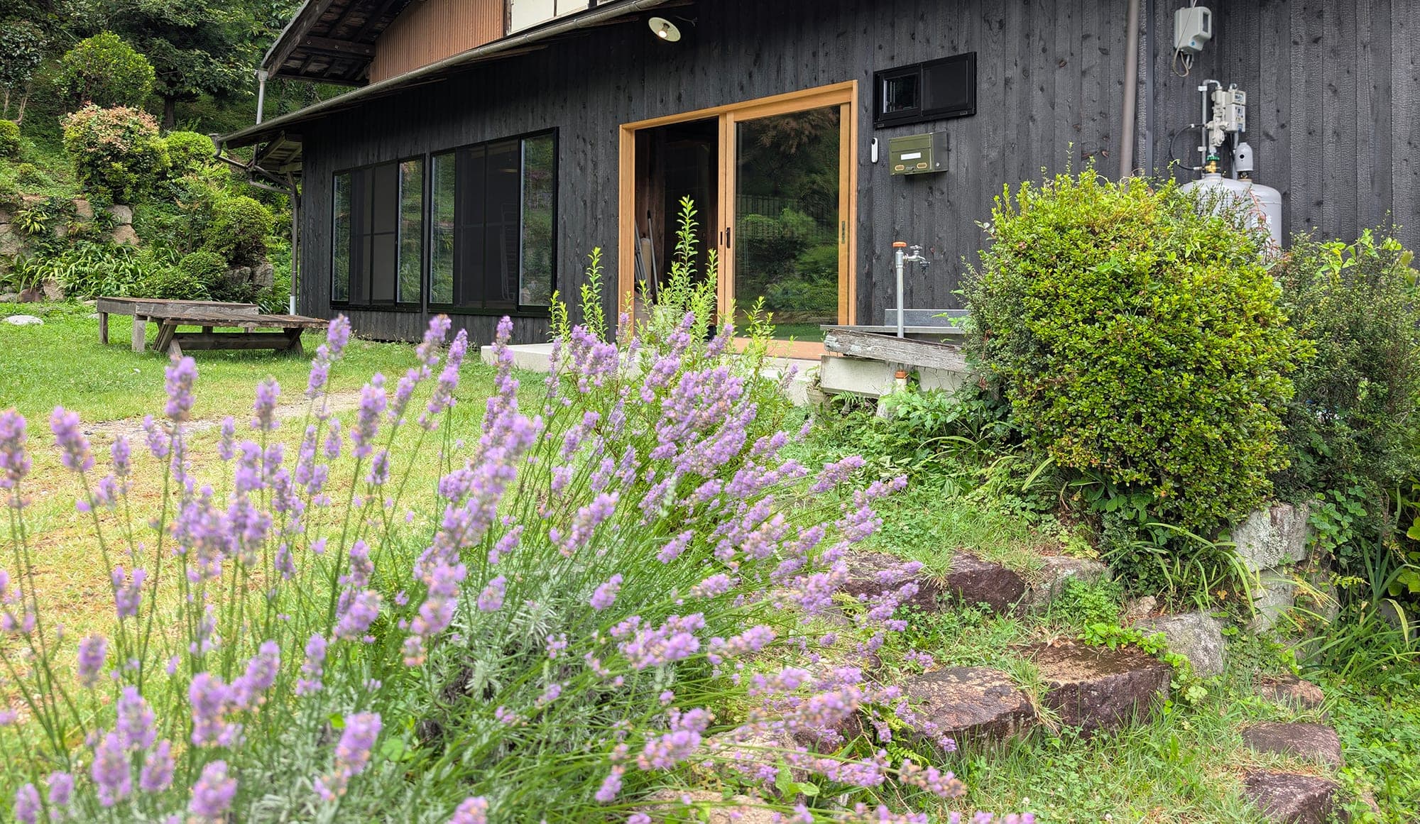 Exterior of the black-timber house with a blooming lavender garden